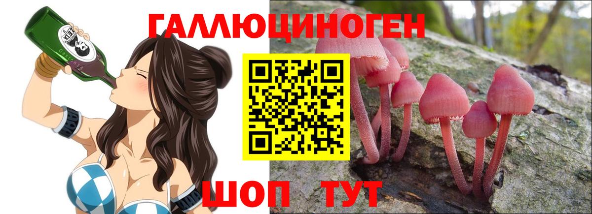 Ковров  Псилоцибиновые грибы Cubensis  Вход с VPN 