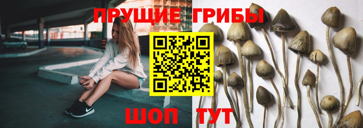Галлюциногенные грибы прущие грибы Ковров